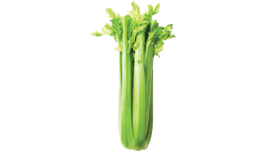 Celery