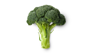 Broccoli