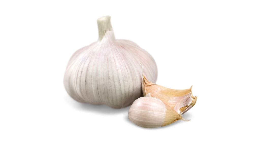 Garlic