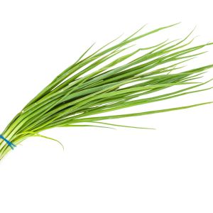 Scallions