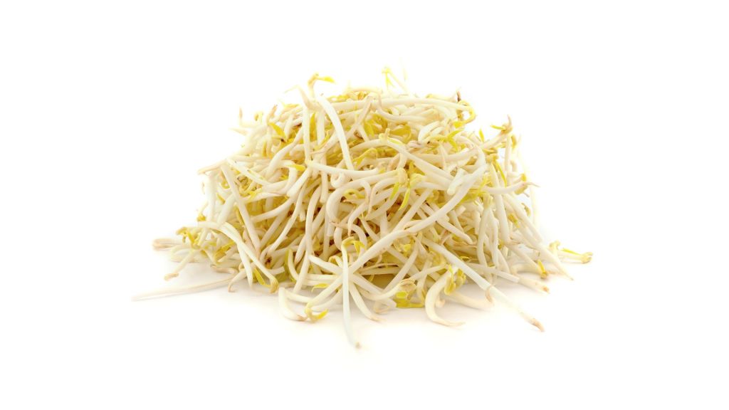 Bean sprouts