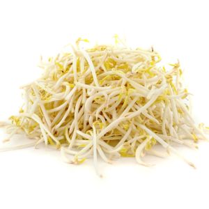 Bean sprouts