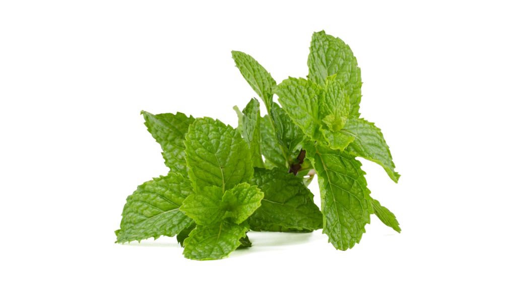 Mint
