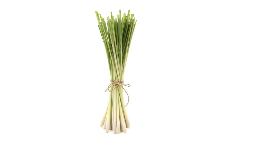 Lemongrass